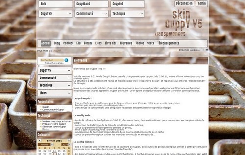 skin_transparence01b